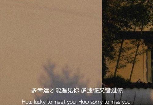 最新情感文案真实爆料,感人至深的情感告白