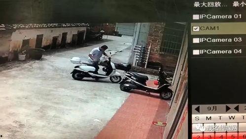 老油条爆料的视频,视频内容深度解析  第1张